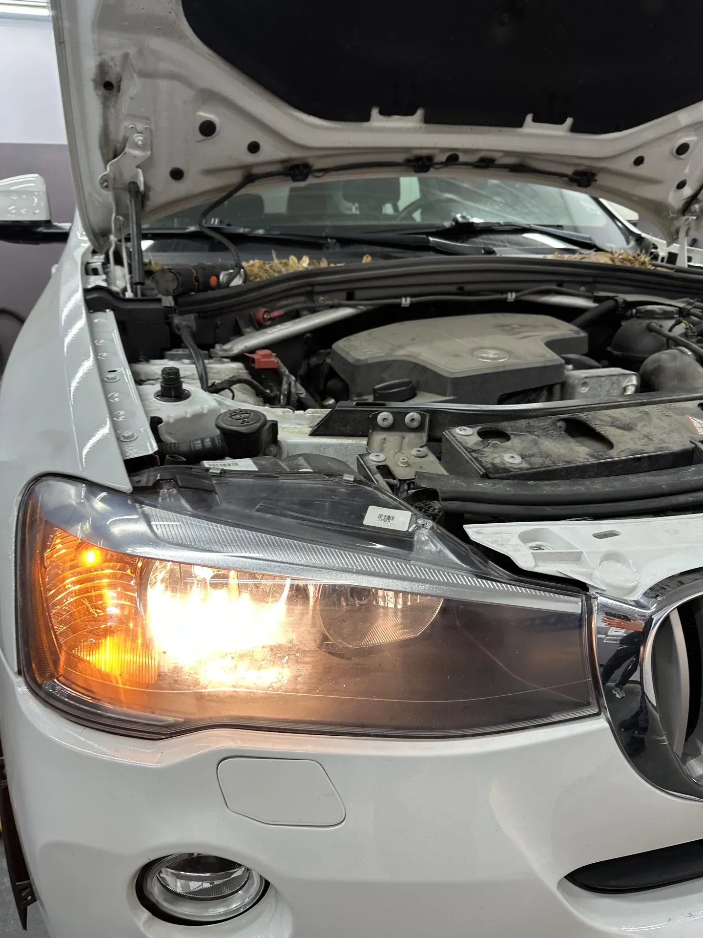 Встановлення bi-led лінз, BMW X3, до